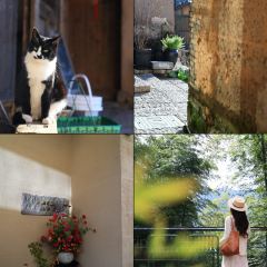 飞茑集樢咖啡 User Photo