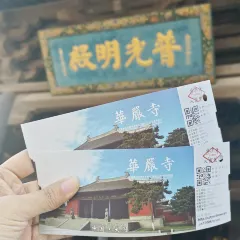 XINJIN TAO 여행 사진