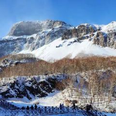 Shunji Traditional Cold Noodles 여행 사진
