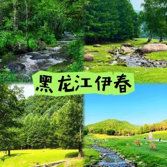 YI DING LOU SHOU ZHUA WANG User Photo