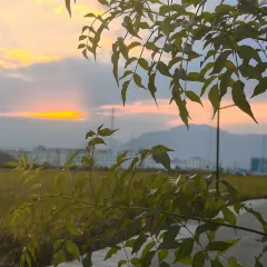 一尺稻田咖啡 User Photo