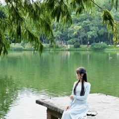 一尺稻田咖啡 User Photo