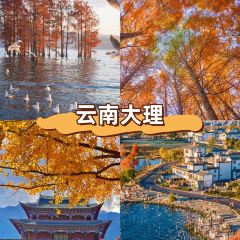 dan jia yu pai User Photo