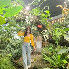 泰椰天香·江景六国料理 User Photo