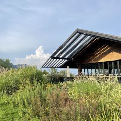 YE PO COFFEE User Photo