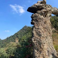 诸暨正宗次坞打面(人民西路店) User Photo