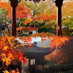 外婆的味道私房餐厅 User Photo