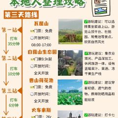 紫藤园·天目湖大鱼头(南山竹海店) User Photo