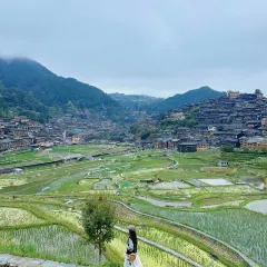 猪圈咖啡屋 User Photo