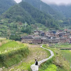 猪圈咖啡屋 User Photo