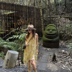 椿野咖啡馆(和顺店) User Photo