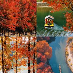 LIN SHANG REN JIA User Photo