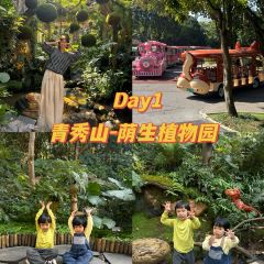 甘家界檸檬鴨(春暉店)張用戶圖片