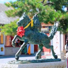 LAOSUIYUAN User Photo