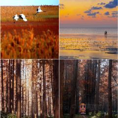 竹林大饭店 User Photo