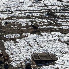 北红村王大妈农家院 User Photo