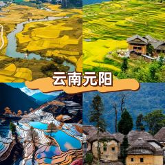 dan jia yu pai User Photo