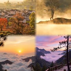 灵山酒酿 User Photo