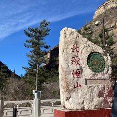 XINJIN TAO User Photo