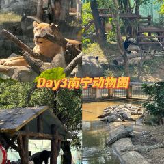 甘家界檸檬鴨(春暉店)張用戶圖片