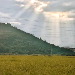 一尺稻田咖啡 User Photo