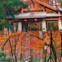 诸暨正宗次坞打面(人民西路店) User Photo