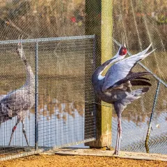 竹林大饭店 User Photo