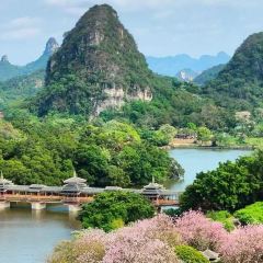 曹妹螺螄粉店(柳鋅店)張用戶圖片