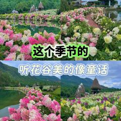 Naxi fire pond 여행 사진