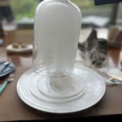 九寨康莱德酒店·炙特色餐厅 여행 사진