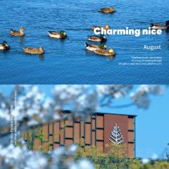 JIN JING GE User Photo