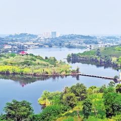 杨氏豆花 User Photo