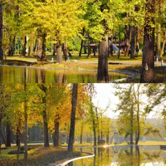 桂記灕江魚家常菜館張用戶圖片