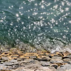 MAO JI HAI XIAN SHA GUO ZHOU User Photo