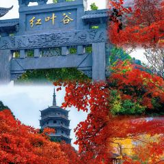 秦记火烧 User Photo