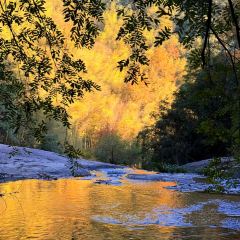 诸暨正宗次坞打面(人民西路店) User Photo