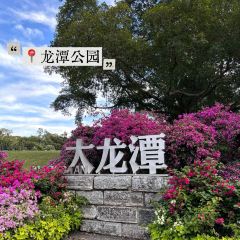 XIN SHI HUI User Photo