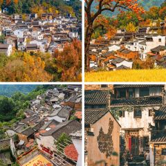 樊老头樊氏牛骨粉(婺源书乡路店) User Photo