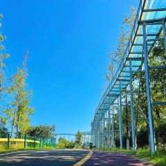 杨氏豆花 User Photo