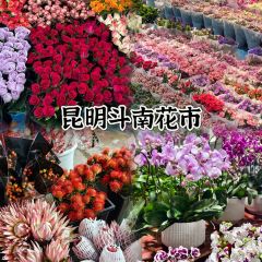 MANFEILONG User Photo