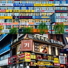 YNN 여행 사진