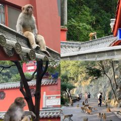 Liu Guang Men Mao Auntie Nuo Rice User Photo
