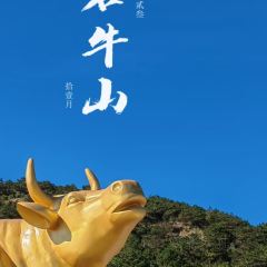 PIAN AI RESTAURANT User Photo