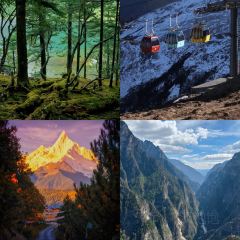 A Ma de su you cha User Photo