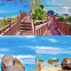 dan jia yu pai User Photo