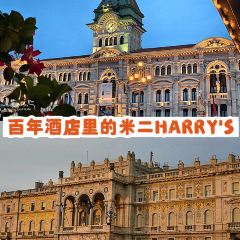 Harry's Bistrò User Photo