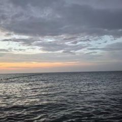 趕海歸來·肥蛤·海鮮燒烤（韓樂坊店）張用戶圖片