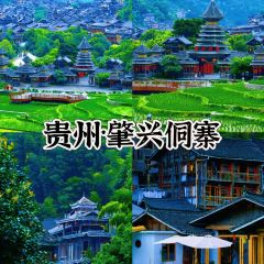 飞茑集樢咖啡 User Photo