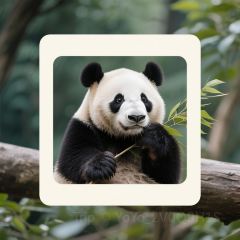 SHUDAXIA HOT POT User Photo