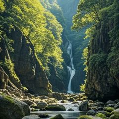 老马家羊杂碎店 User Photo